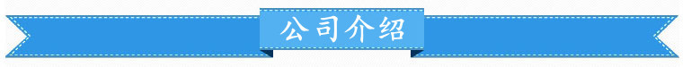 2 公司介紹
