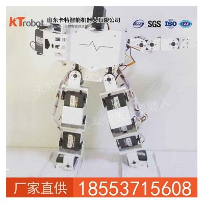 17由自度人形機器人, 智能人形機器