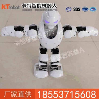 阿爾法機器人, 智能家居機器人, 機