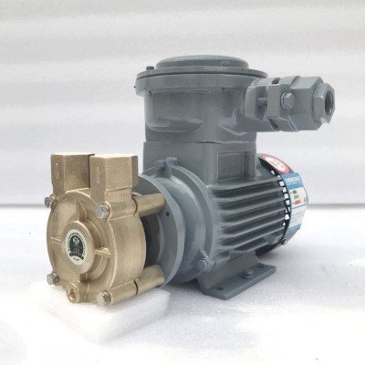 WD-33EX-200防爆熱油泵 臥式防爆模