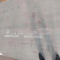 江蘇 SA387Gr11Cl2容器板