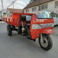 高配置四輪前翻翻斗車 高效耐用液壓自卸翻斗車 工程柴油蹦蹦車