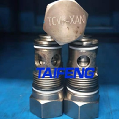 TCVH-XAN插入式單向閥 山東泰豐智能