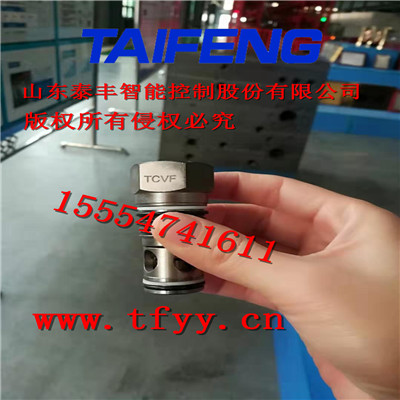 TCVH-XAN插入式單向閥 山東泰豐智能