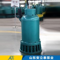 BQS15-55/2-5.5/B礦用隔爆型潛水泵立信于心