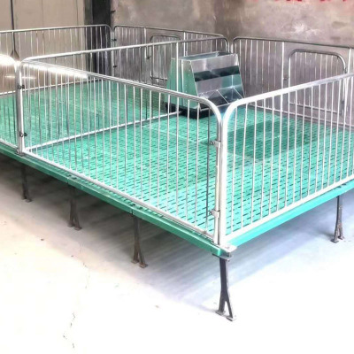 育豬保育床