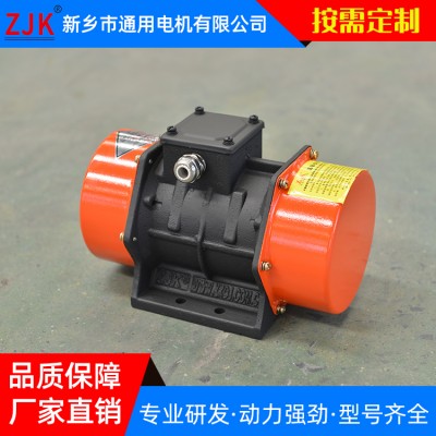 通用安康YZU三相異步振動(dòng)電機(jī)-側(cè)板