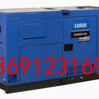 原裝日本進口東洋發電機TDL75000TE-