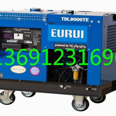 日本進口柴油發電機TDL9000TE