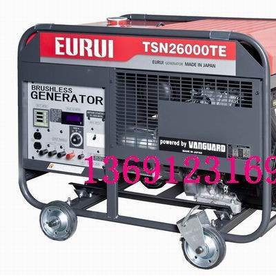 原裝日本進口東洋發電機TSN26000TE
