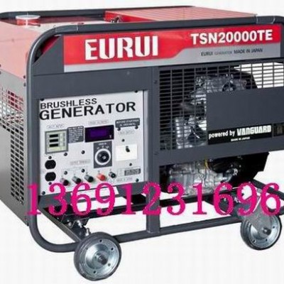 原裝日本進(jìn)口東洋汽油發(fā)電機(jī)TSN2000