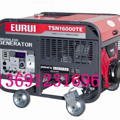 汽油發電機TSN16000TE