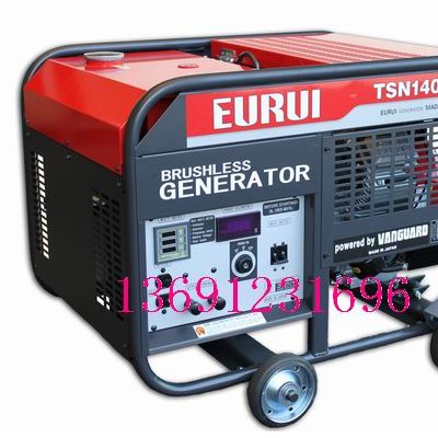 進口汽油發(fā)電機TSN14000E