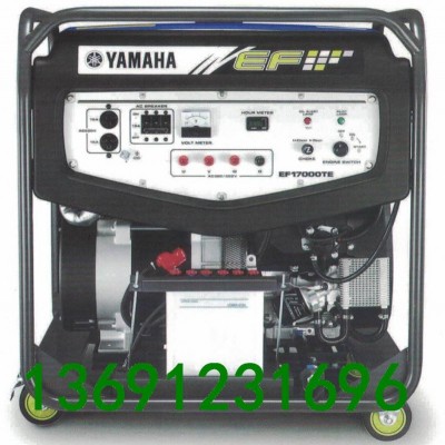雅馬哈發(fā)電機EF17000TE