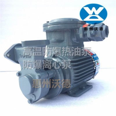 防爆高溫泵WM-05EX臥式導熱油泵防爆
