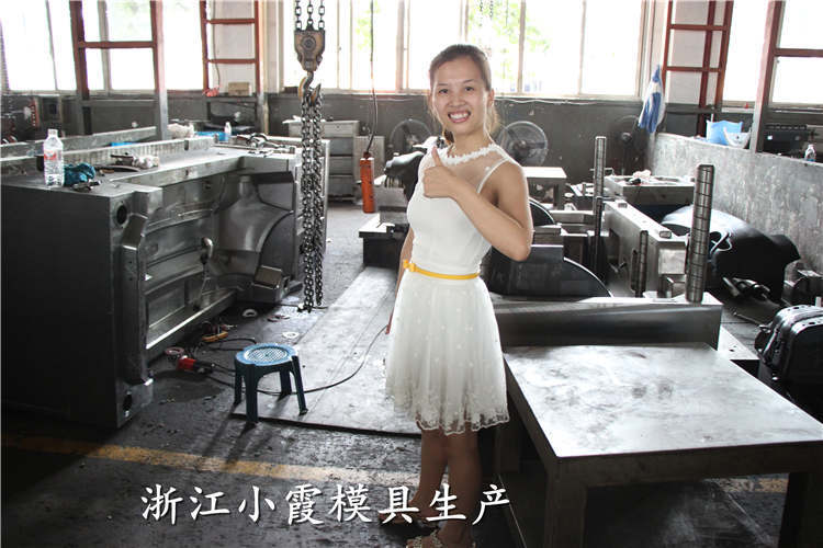 汽車(chē)模具 (3)