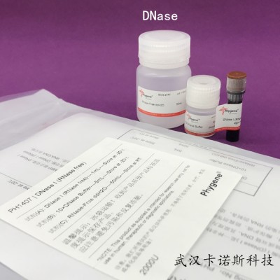 DNase 核酸酶切酶 現貨供應 當天發
