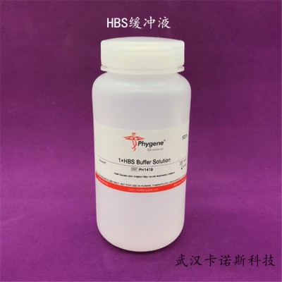 HBS緩沖液 500mL 現貨供應 當天發貨