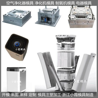 電器模具 凈化機模具