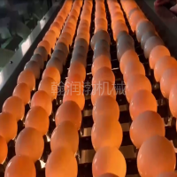 翰潤渤GJ-400型光檢設備 蛋品裂紋檢測機 黑心蛋光檢機