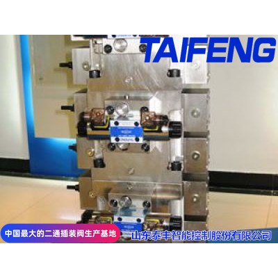 TAIFENG--二通插裝閥無頂缸廠家現(xiàn)貨