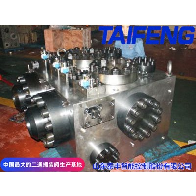TAIFENG--63噸常規(guī)XNB32-63CV二通插