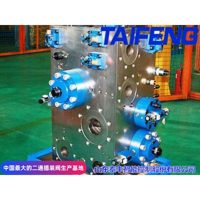泰豐現(xiàn)貨供應(yīng)YN32-100FNBCV型插裝閥
