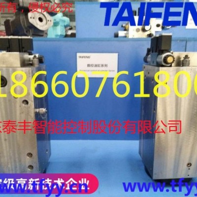 供應WC67Y-63/2500BW型折彎機油缸