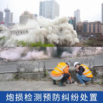 爆破炮損預(yù)防與糾紛處置,爆破地震波
