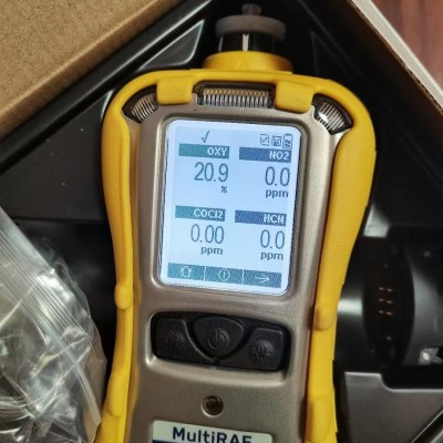 霍尼韋爾華瑞PGM-6208泵吸復合式六