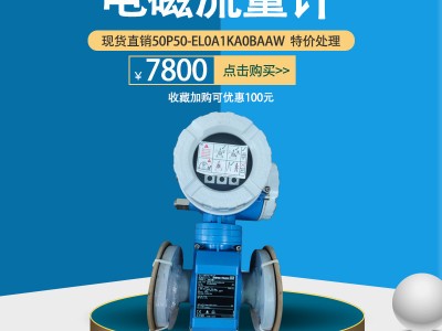 e h E+H電磁流量計一體式50P50-EL0A1KA0BAAW