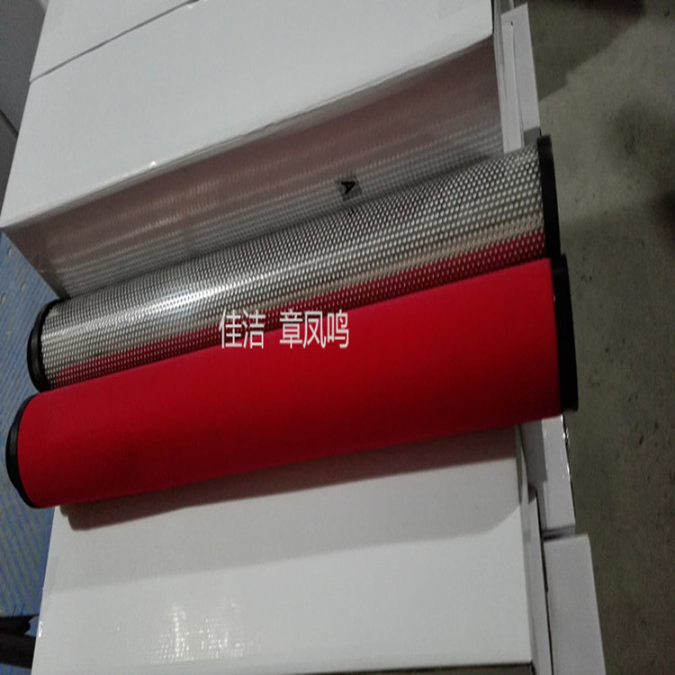 濾芯 (12)